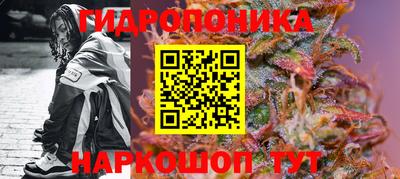spice Сланцы