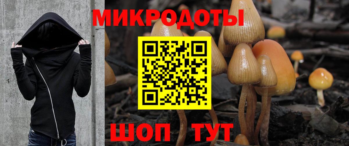 Галлюциногенные грибы Cubensis  Вход с VPN  Псилоцибиновые грибы MAGIC MUSHROOMS  Прохладный 