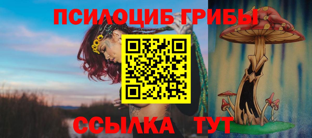 Псилоцибиновые грибы прущие грибы Прохладный